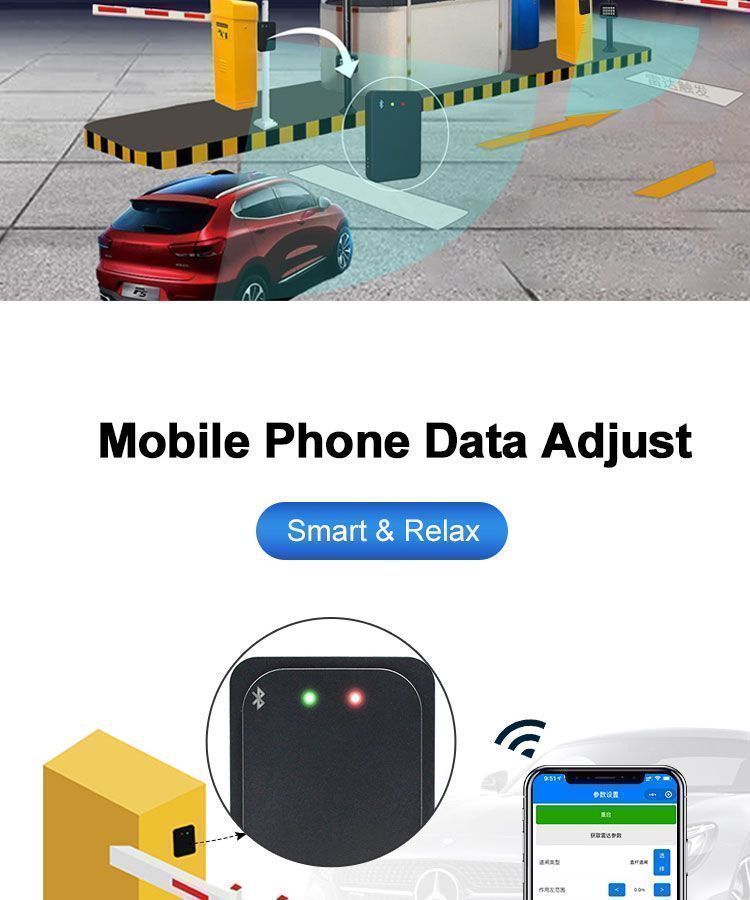 Diagram of dual-direction vehicle and pedestrian detection for gate portals